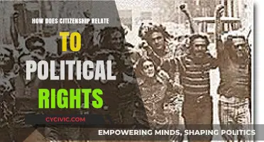 Exploring the Nexus: Citizenship and Political Rights Unveiled