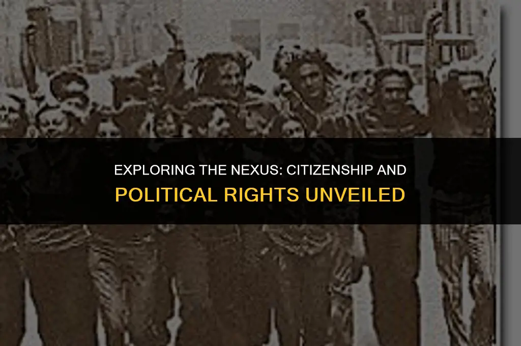 how does citizenship relate to political rights