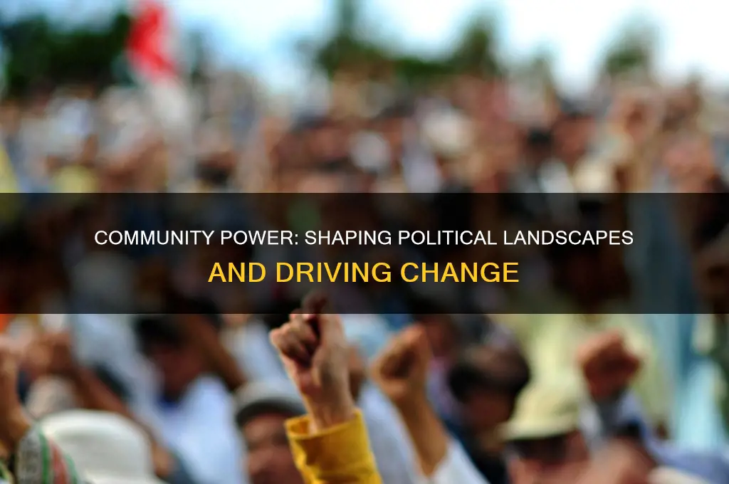 how does community impact politics