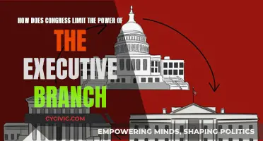 Congress' Checks: Limiting Executive Power
