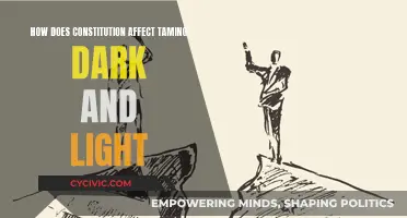 Taming Dark and Light: The Constitutional Impact