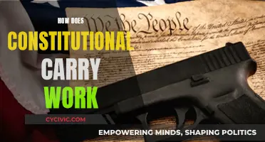 Understanding Constitutional Carry: What, Where, and How It Works