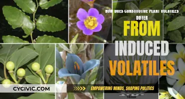 Plant Volatiles: Constitutive vs Induced Compounds