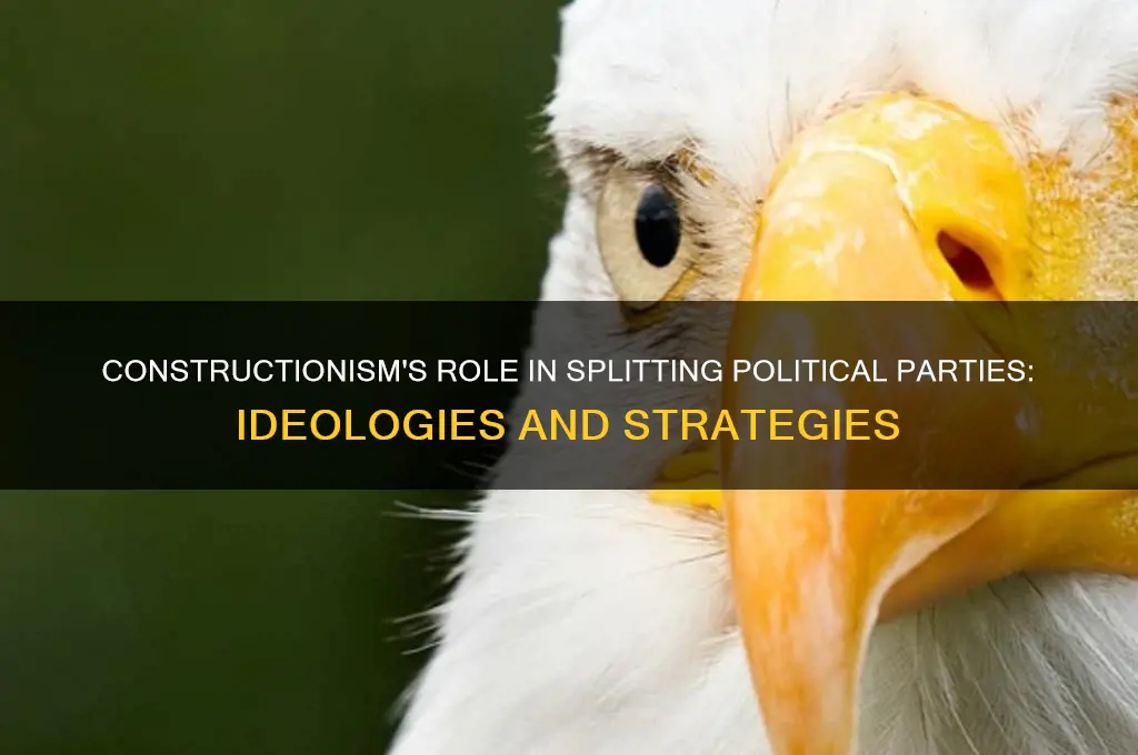 how does constructionism divide political parties