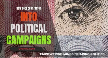 Money Talks: Political Campaigns and Their Costs