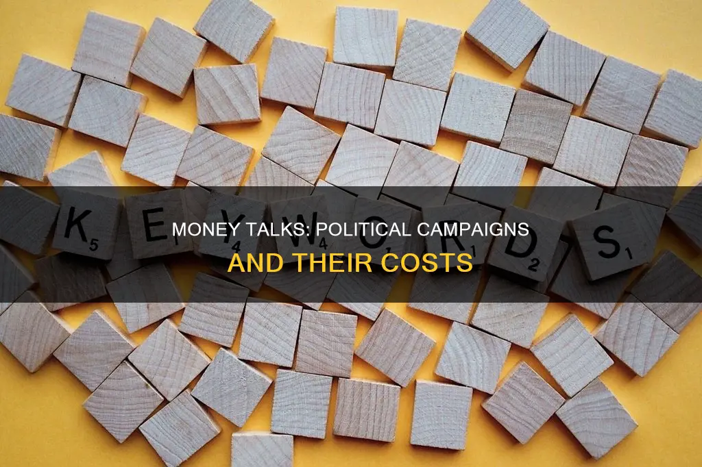 how does cost factor into political campaigns