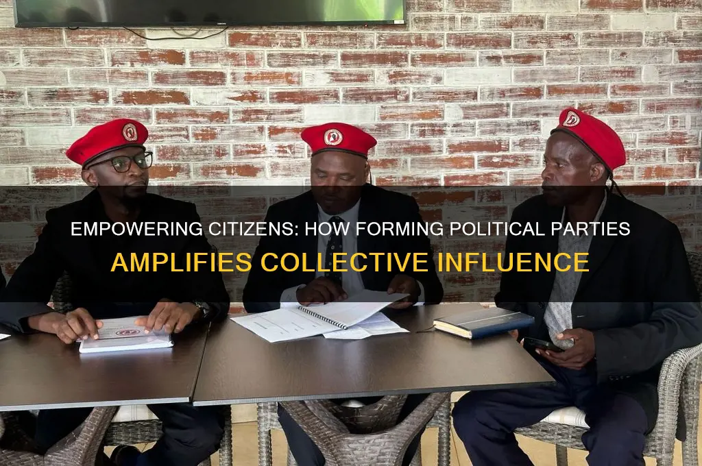 how does creating a political party give people more power