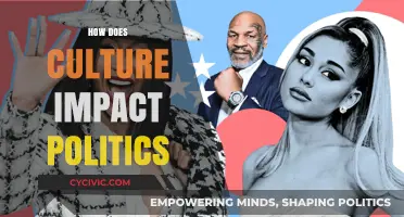 Cultural Influences: Shaping Political Landscapes and Global Decision-Making