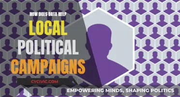 Data-Driven Strategies for Local Political Campaign Success