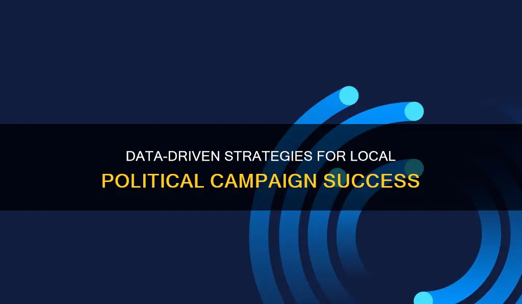 how does data help local political campaigns