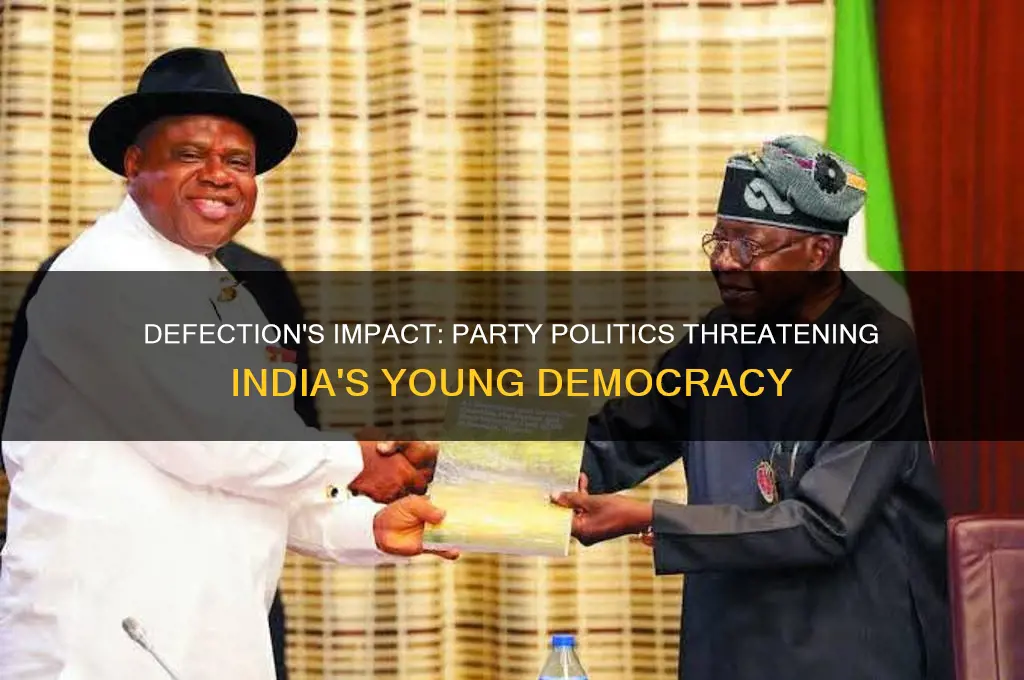 how does defection in party politics affect our nascent democracy