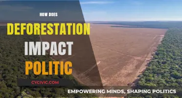 Deforestation's Political Fallout: Power, Policy, and Environmental Consequences Explored