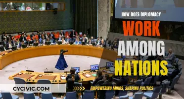 Diplomacy: Navigating International Relations and Global Peace