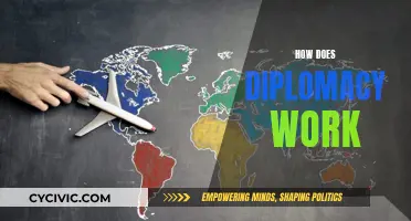 The Art of Diplomacy: How Does it Work?