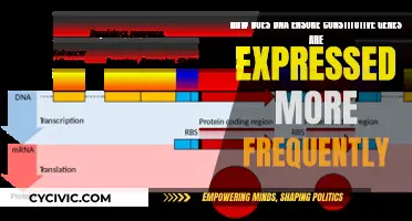Unlocking DNA's Secret to Gene Expression