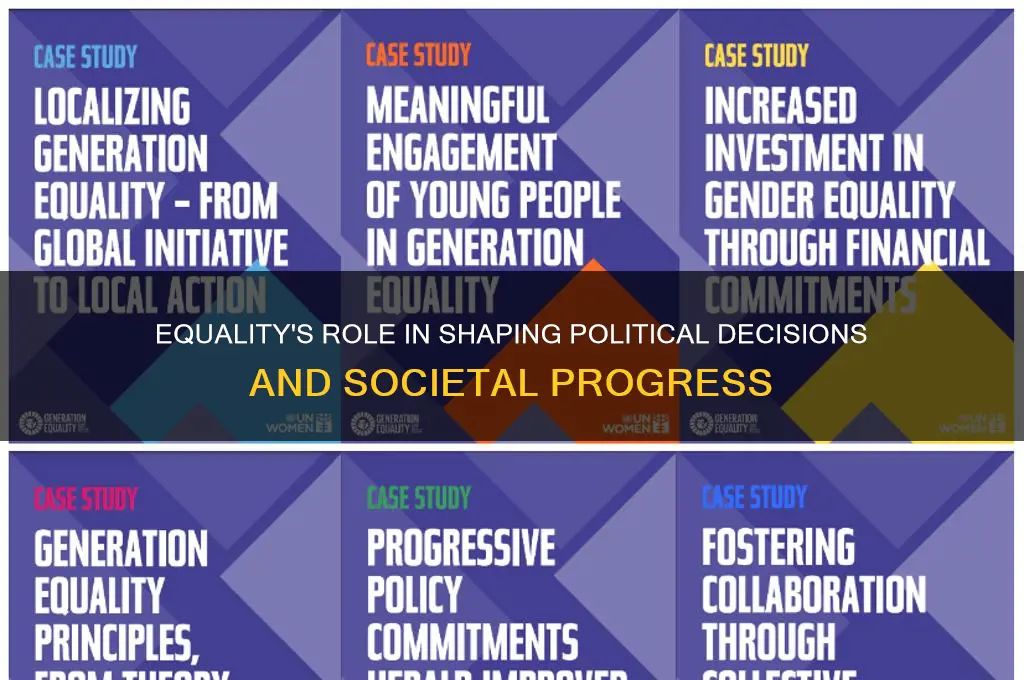 how does equality guide politics