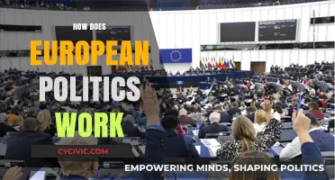 Understanding European Politics: Institutions, Policies, and Power Dynamics Explained