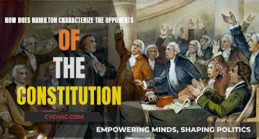 Hamilton's Critique of Constitution Opponents