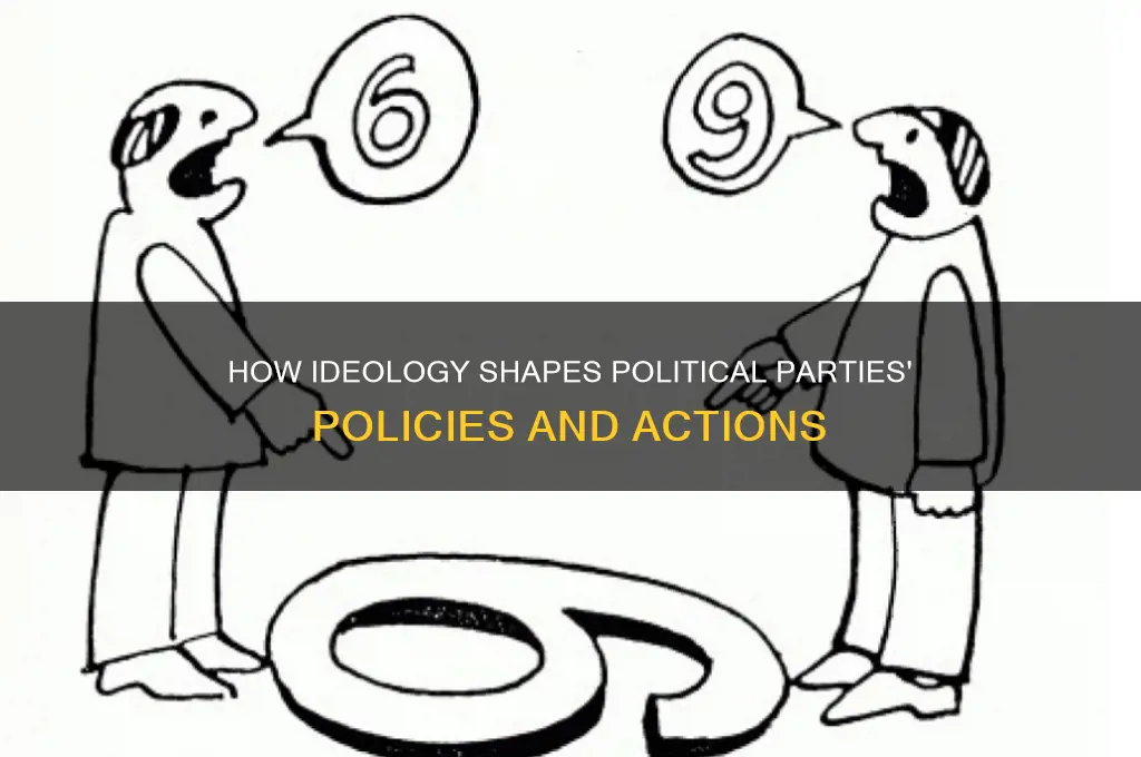 how does ideology affect political parties