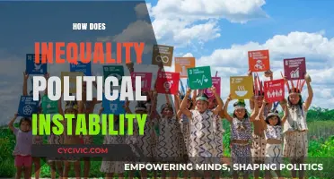 Inequality's Grip: How Economic Disparity Fuels Political Instability