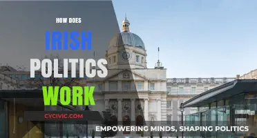 Understanding Irish Politics: A Comprehensive Guide to Its Unique System