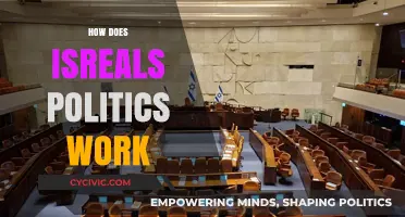 Understanding Israel's Political System: Structure, Parties, and Electoral Process
