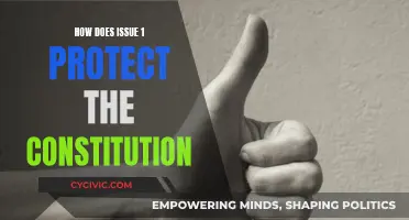 Protecting Our Constitution: Understanding the Impact of Issue 1