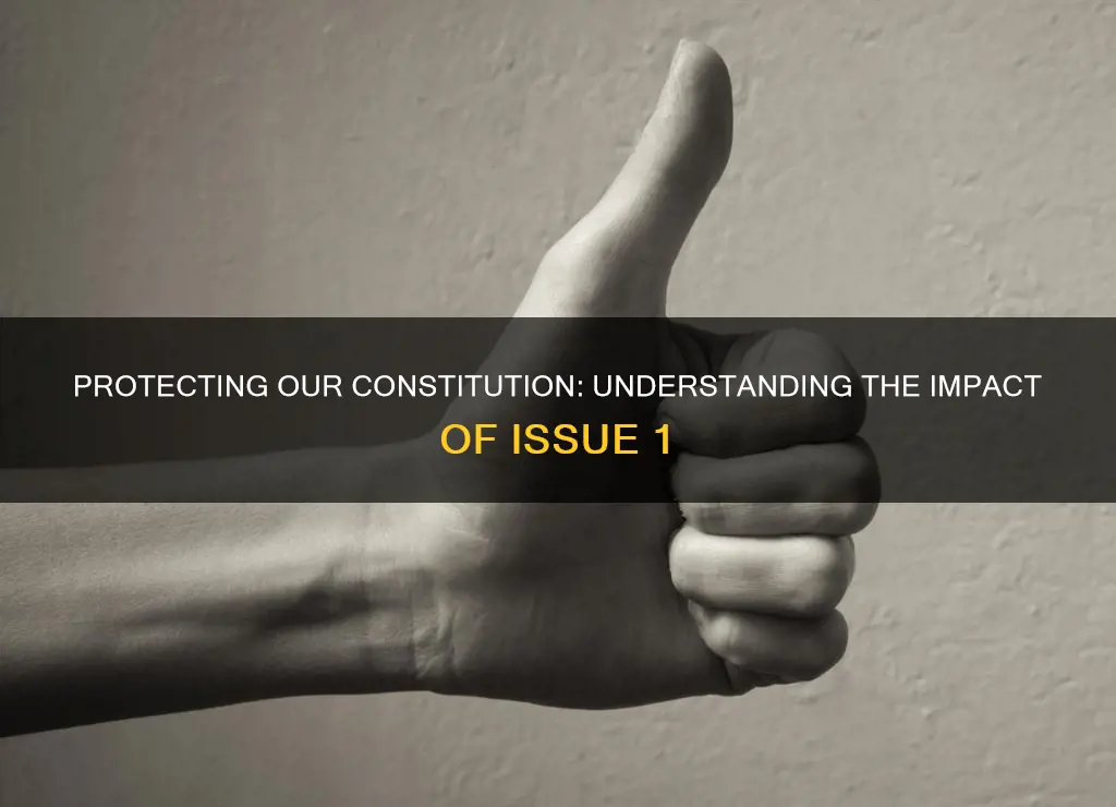 how does issue 1 protect the constitution