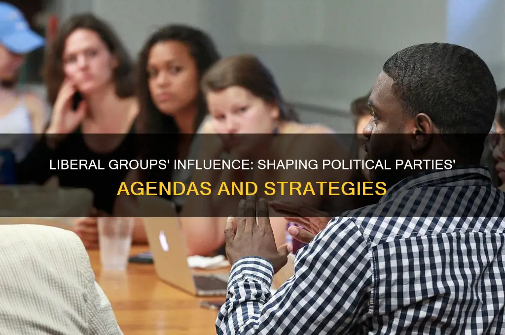 how does libirals group impact political parties