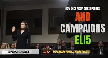 Media's Influence on Politics and Campaigns Explained Simply