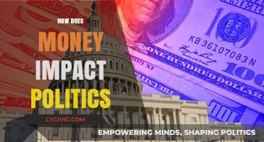 Money's Grip on Power: How Finances Shape Political Landscapes