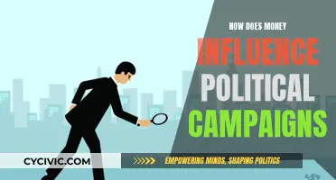 Money's Grip on Politics: Campaign Influence Explored