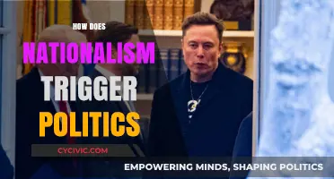 Nationalism's Political Spark: Igniting Ideologies and Shaping Global Policies