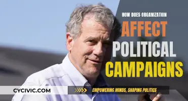 Political Campaign Success: The Role of Organization