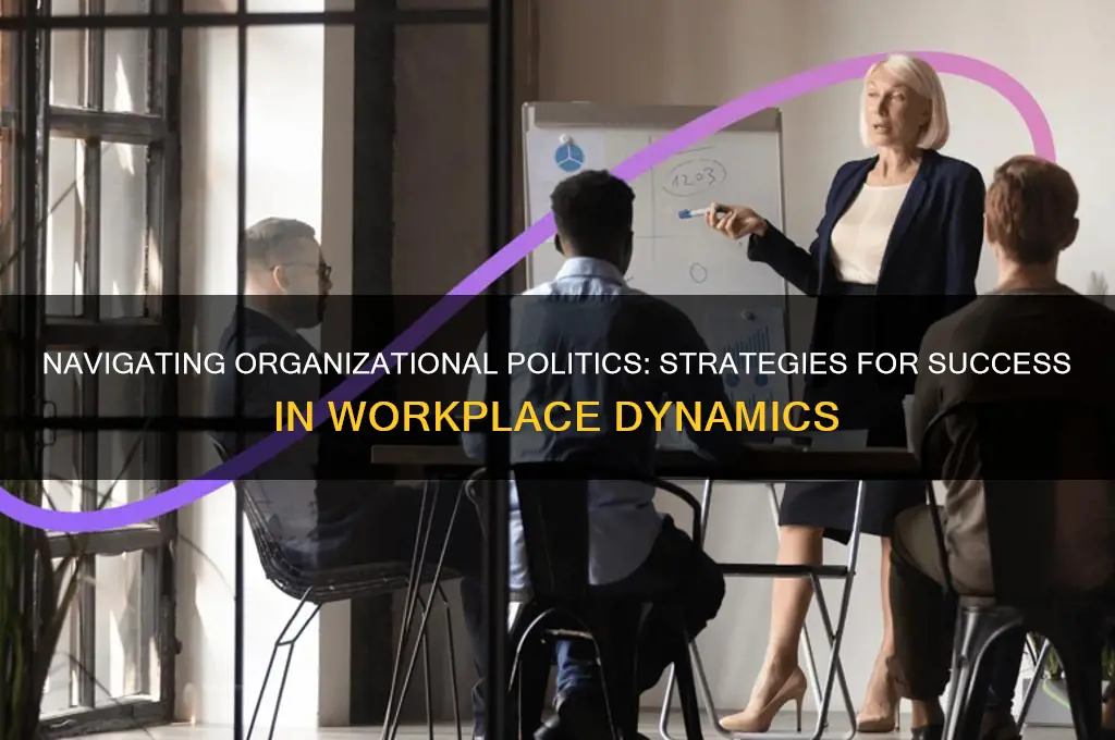 how does organizational politics work