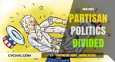 Partisan Politics: How Deep Divisions Shape Society and Governance