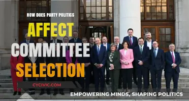 Party Politics' Impact on Committee Selection: Power, Influence, and Strategy