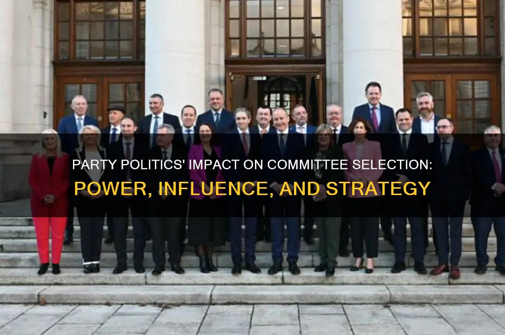how does party politics affect committee selection