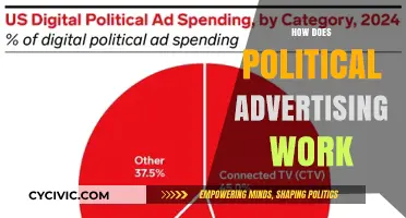 Decoding Political Ads: Strategies, Influence, and Voter Engagement Explained