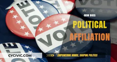 How Political Affiliation Shapes Our Worldviews and Decisions