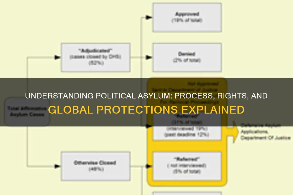 how does political asylum work