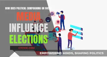 Social Media's Political Campaigning: Impact on Elections