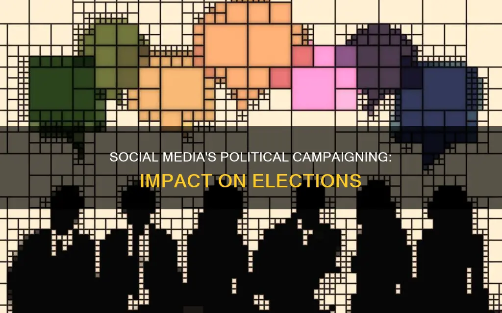 how does political campaigning on social media influence elections