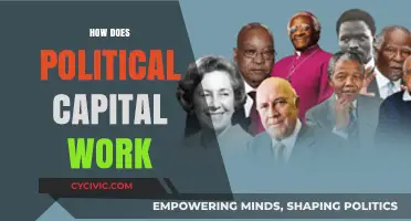 Understanding Political Capital: Power, Influence, and Strategic Resource Utilization
