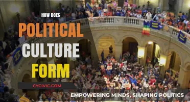 Shaping Political Culture: Influences, Evolution, and Societal Foundations Explored
