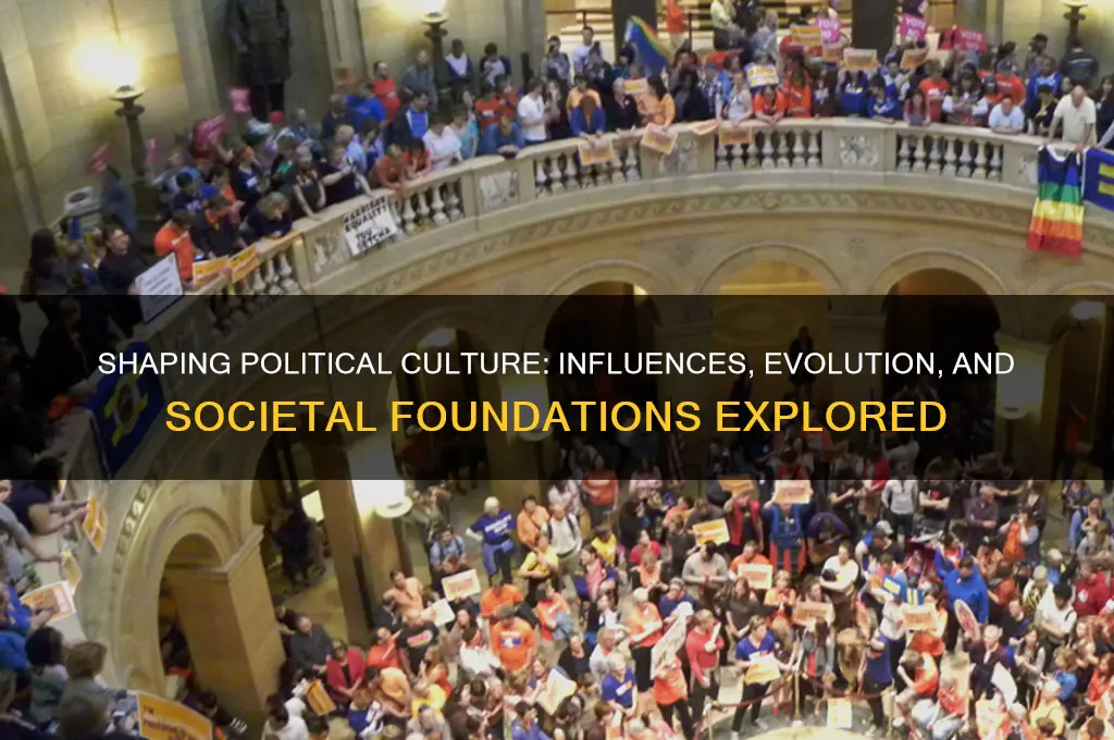 how does political culture form