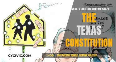 Texas Constitution: Impact of Political Culture