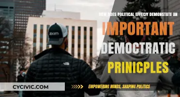 Political Efficacy: A Cornerstone of Democratic Principles