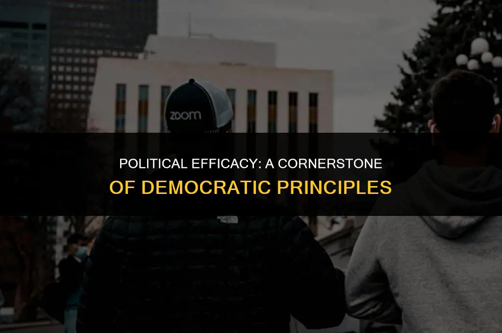 how does political effeciy demonstate an important democtratic prinicples