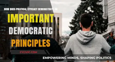 Empowering Citizens: Political Efficacy as a Cornerstone of Democracy